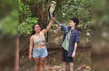 Taxi & Tours in Grenada , Chocolate factory, & more.