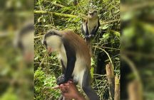 Taxi & Tours in Grenada , Chocolate factory, & more.