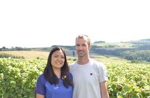 Vineyard and Triple Tasting First Cru in the Mountains of Reims 