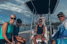 Marco Island and 10,000 Islands Sightseeing with Dolphin Tour 