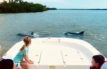Marco Island and 10,000 Islands Sightseeing with Dolphin Tour 