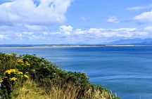 Dingle Peninsula & Slea Head Private Tour-Luxury MPV