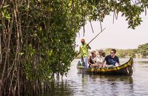 Explore La Boquilla’s Mangrove Tunnels with Local Fishermen