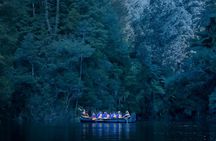 Tauranga Evening Big Kanu Glowworm Tour 