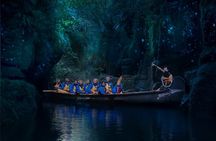 Tauranga Evening Big Kanu Glowworm Tour 