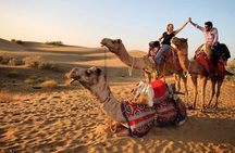 Desert Safari in Red Dunes with Camel Ride, Dinner and Shows