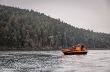 Private Whale Watching Nanaimo with Open Boat