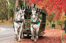 Stanley Park Horse-Drawn Tour