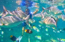 Los Arcos 5 islands Snorkeling Cliff Jumping and Hidden Beach