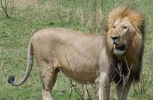 3 Days and 2 Nights Private Safari to Amboseli National Park