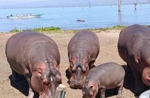 8 Days 7 nights Kenya and Tanzania private camping safari