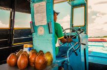 Mekong Delta Experience: Small Group Adventure