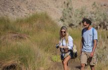 Guided Desert Hiking Tour in Wadi Naeba – Remote Half-Day Trek