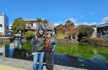 Mount Fuji Scenic E-Bike Tour
