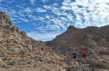 Guided Desert Hiking Tour in Wadi Naeba – Remote Half-Day Trek