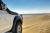 Sahara Desert Safari Experience and Sand Boarding From Cairo