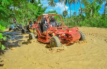 Enjoy ATV and Buggy Without Limits