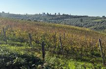 Morning Chianti E-Bike: Immersive Wine Experience & Local Lunch