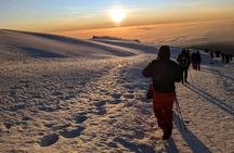 Kilimanjaro Climb via Lemosho Route for 7 Day (All Inclusive)