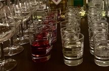 A Taste of Poland Vodka and Liquor Tasting Tour