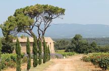 Taste of Provence - Wine and Scenery around Aix-en-Provence