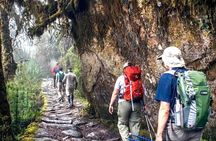2 Days Inca Trail Adventure Express in Machu Picchu