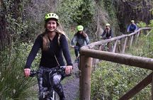E-Bike Adventure by the Old Sierra Nevada Tramway