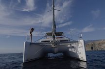 Whale Watching for 3 hours in Tenerife