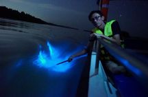 Kuala Selangor Fireflies and Blue Tears Tour with Dinner (SIC)