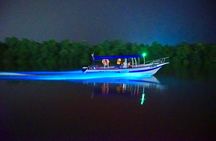 Kuala Selangor Fireflies and Blue Tears Tour with Dinner (SIC)