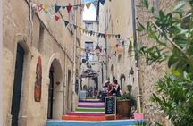 Guided Tour of Montpellier City Centre by Electric Bike