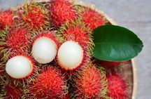 Tasting Tour of Tropical and Exotic Fruits in Panama’s Markets