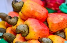 Tasting Tour of Tropical and Exotic Fruits in Panama’s Markets