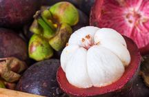 Tasting Tour of Tropical and Exotic Fruits in Panama’s Markets