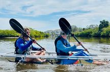 Clear Kayak Ecotour of Tarpon Springs Anclote River