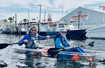 Clear Kayak Ecotour of Tarpon Springs Anclote River