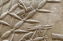 Memphis, Saqqara, and Dahshur in a Private Day Tour from Cairo