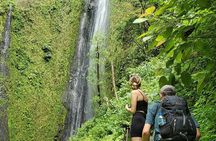  One Day Tour on Ometepe : Waterfall - Kayaking - Sunset