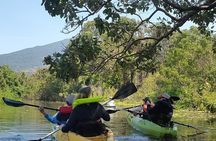 One Day Tour on Ometepe : Waterfall - Kayaking - Sunset