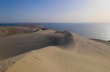 Half Day Doha Desert Safari with Camel Riding
