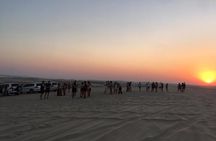 Half Day Doha Desert Safari with Camel Riding