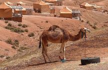 Marrakech Desert Tour & Sunset Camel Ride with Dinner Show 