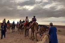 Marrakech Desert Tour & Sunset Camel Ride with Dinner Show 