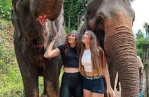 Explore Sri Lanka in 5 Days with Breakfast and Luxury Car