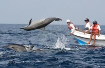 Explore Sri Lanka in 5 Days with Breakfast and Luxury Car