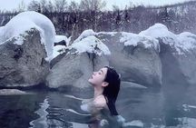 Chena Hot Springs Small Group Tour 