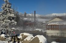 Chena Hot Springs Small Group Tour 