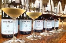 Small Group Yarra Valley: Redwoods Forest & Premium Wine Tour 