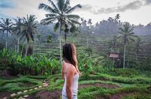 Ubud: Monkey Forest, Rice Terrace and Waterfall (All Inclusive)