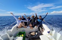 Daily Snorkeling Boat Trip in Jeddah